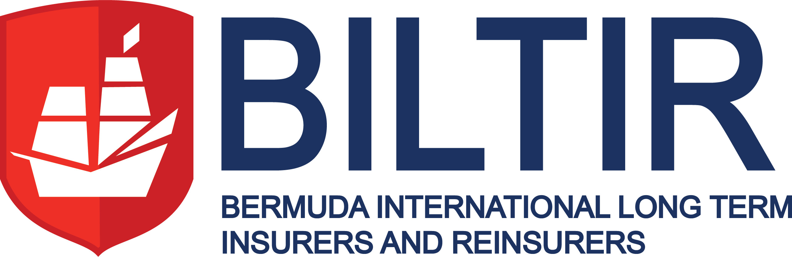 logo biltir