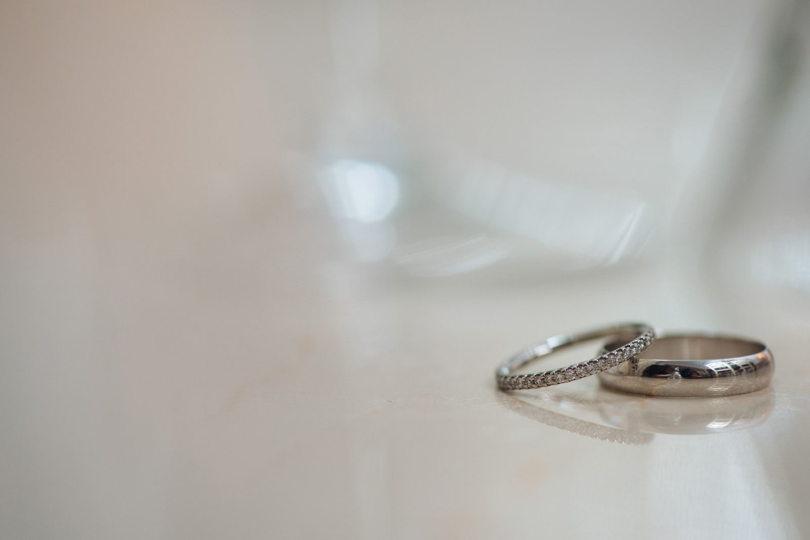 The wedding of Abby & Michael