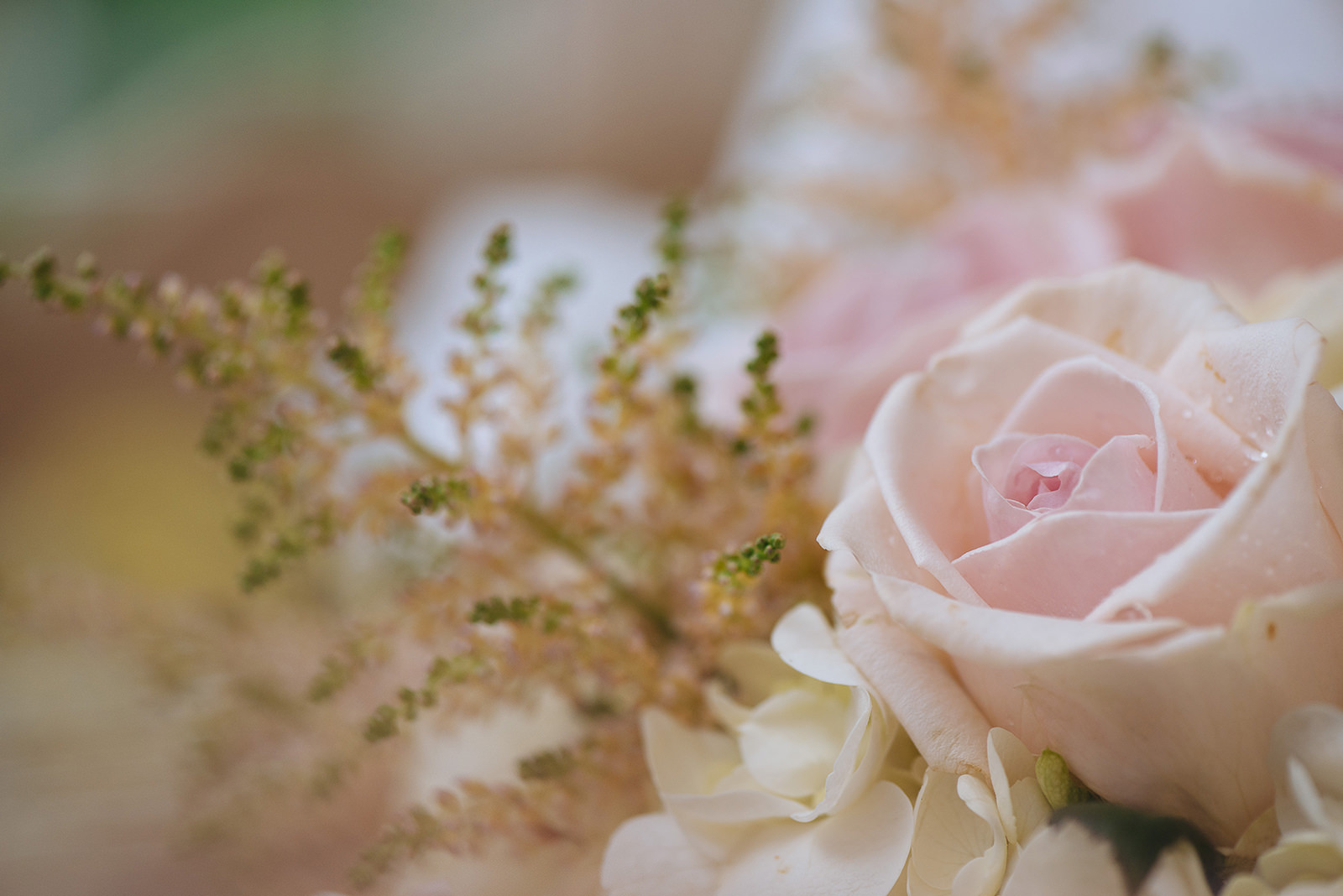 The wedding of Abby & Michael