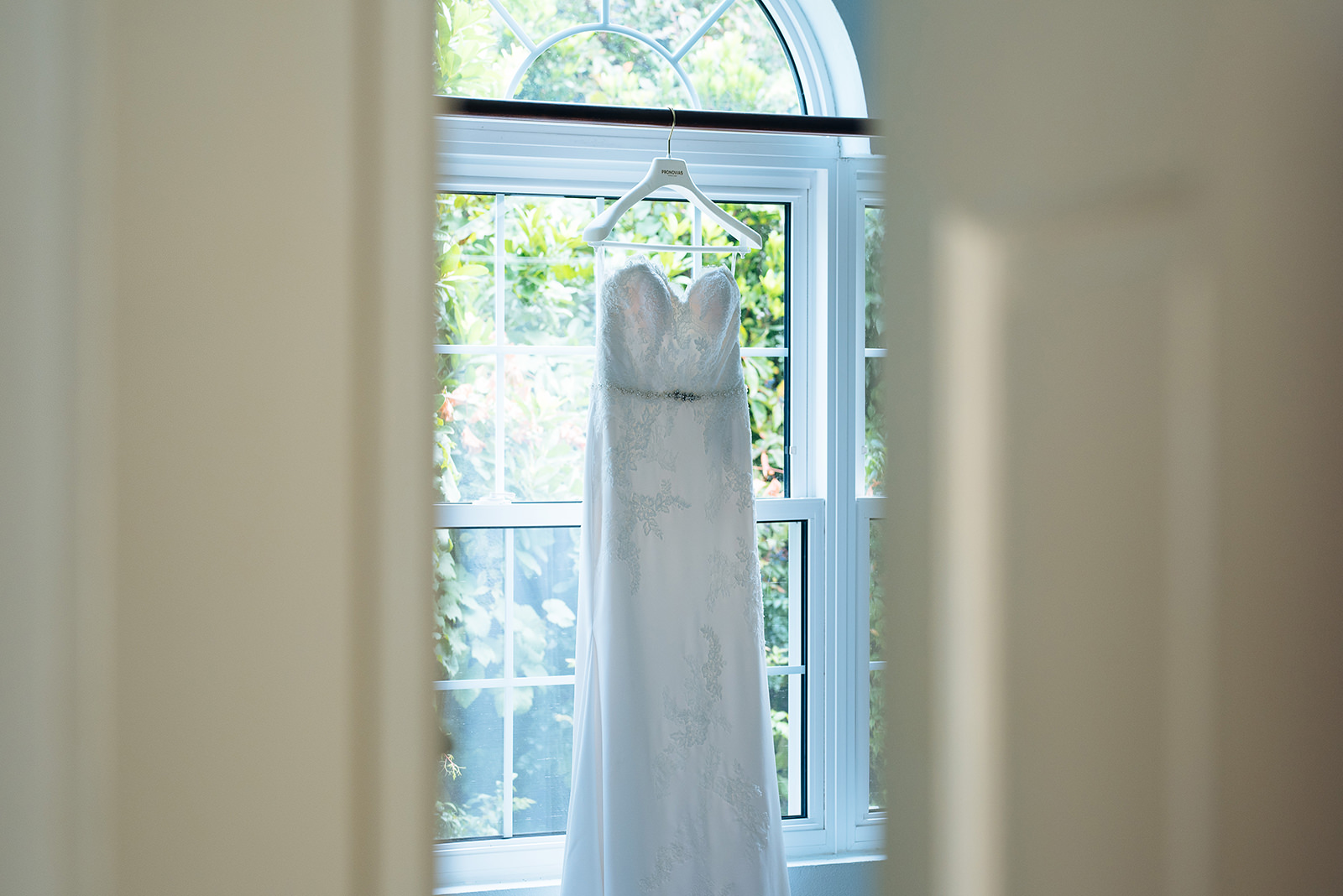 The wedding of Abby & Michael