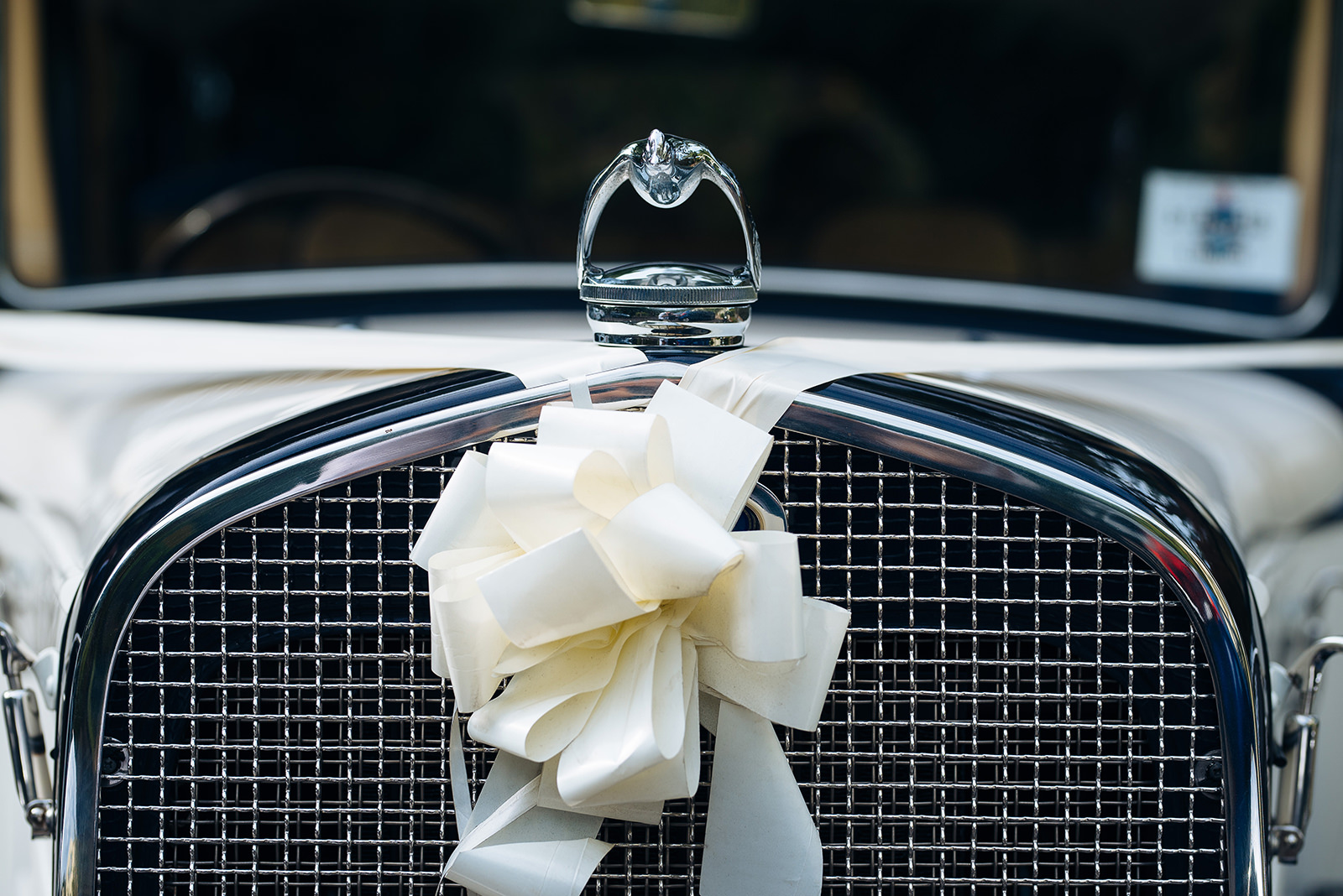 The wedding of Abby & Michael