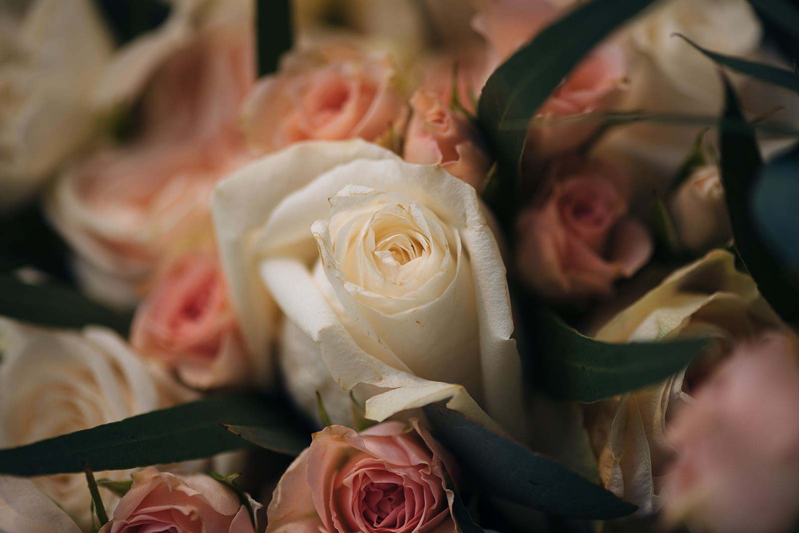The wedding of Alexis & Peter