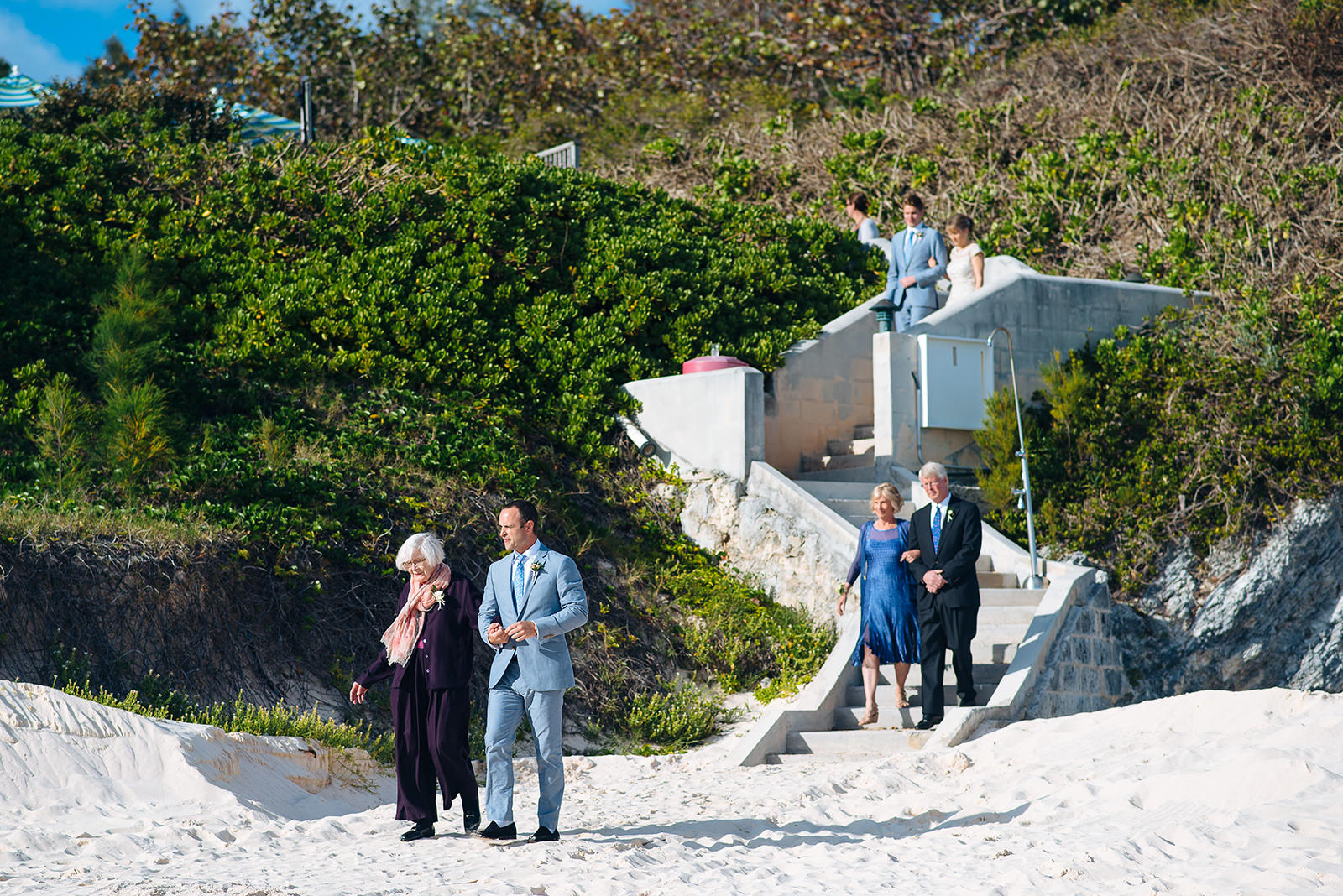 The wedding of Alexis & Peter