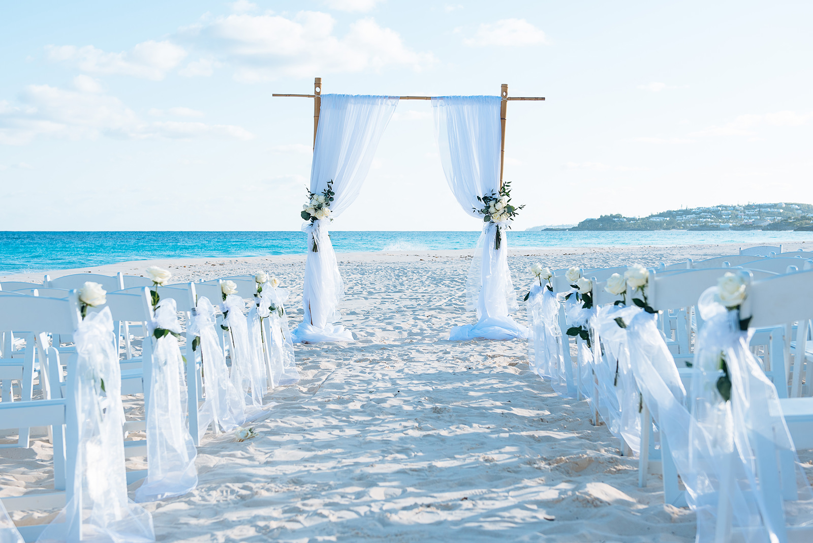 The wedding of Alexis & Peter
