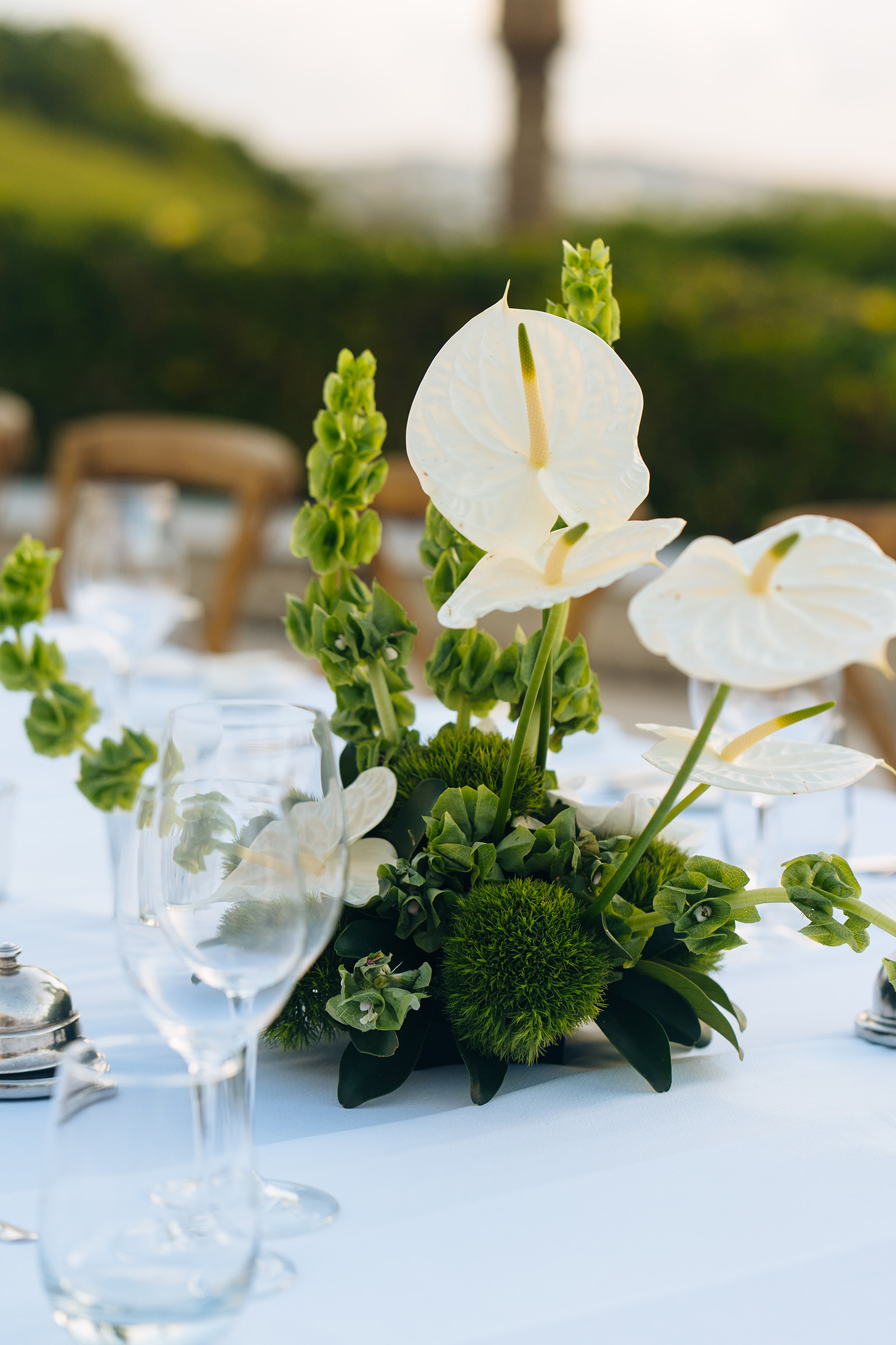 The wedding of Reagan & Reece at Rosewood Tucker's Point