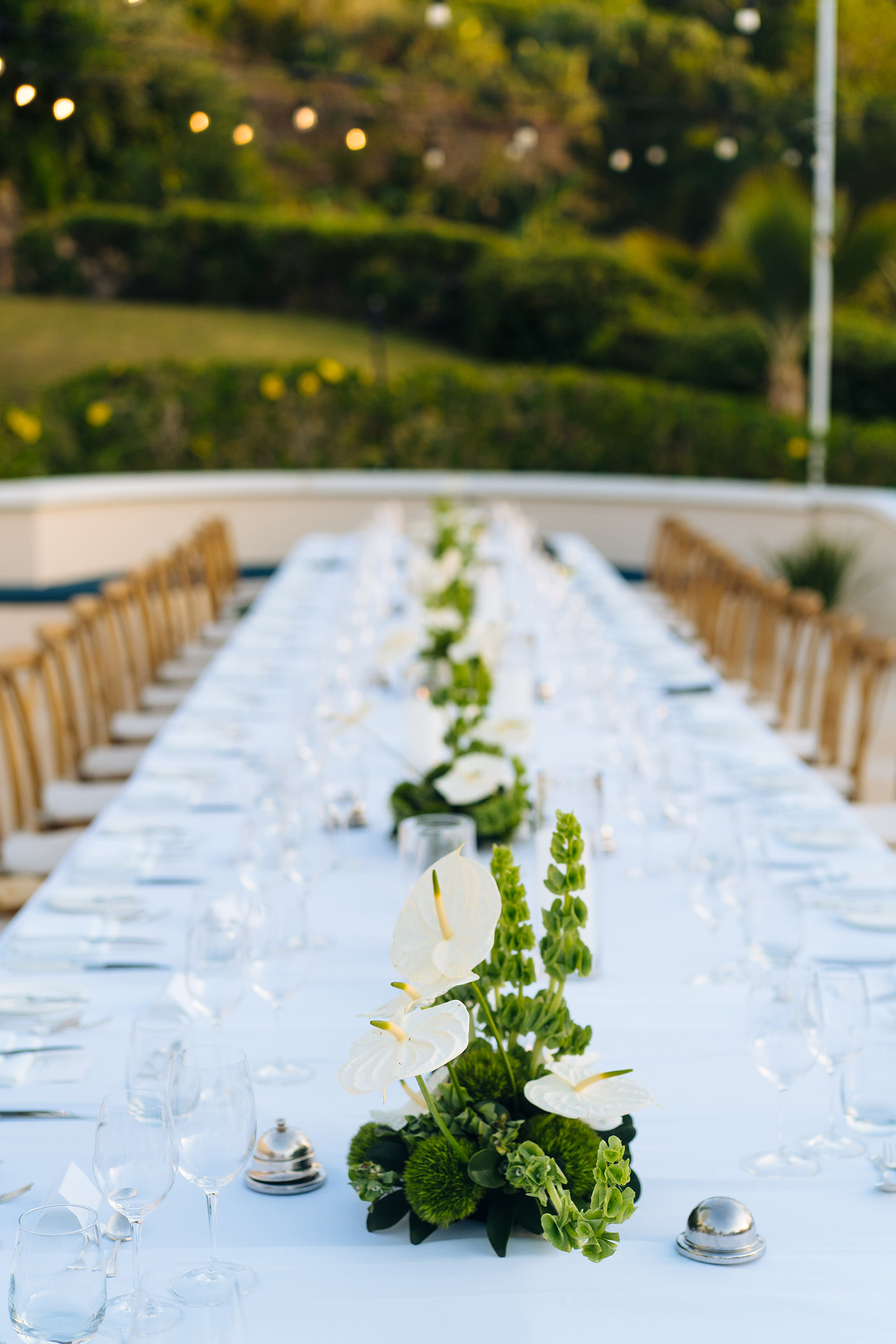 The wedding of Reagan & Reece at Rosewood Tucker's Point