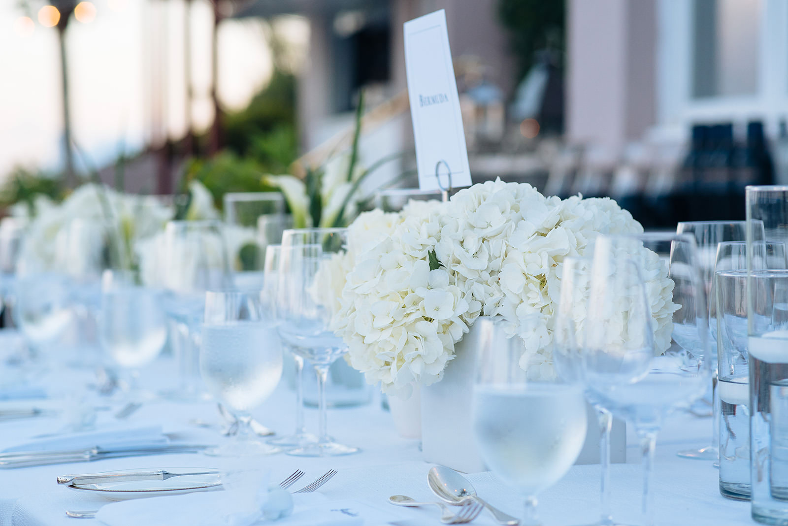 The wedding of Sophia & Justin at Coral Beach Club, Paget